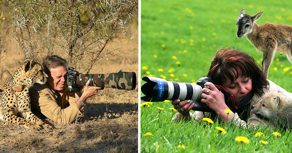 Фотографите на дивата природа са смели търпеливи хора които могат